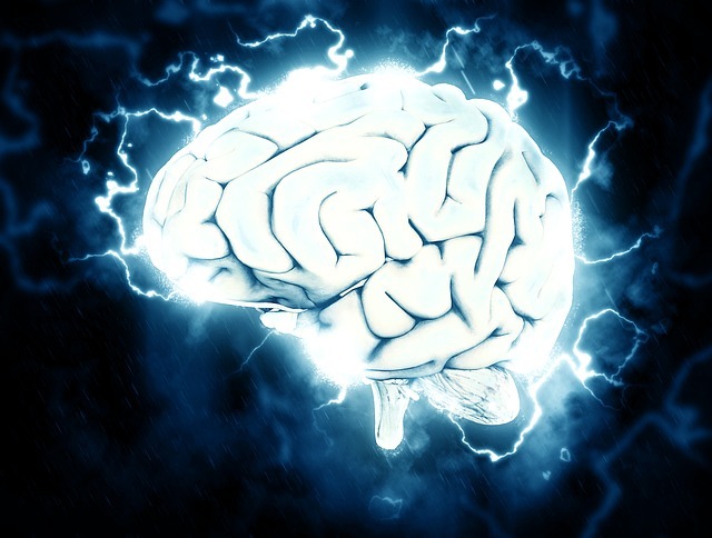brain electricity