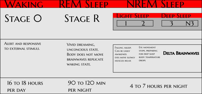 sleep cycle