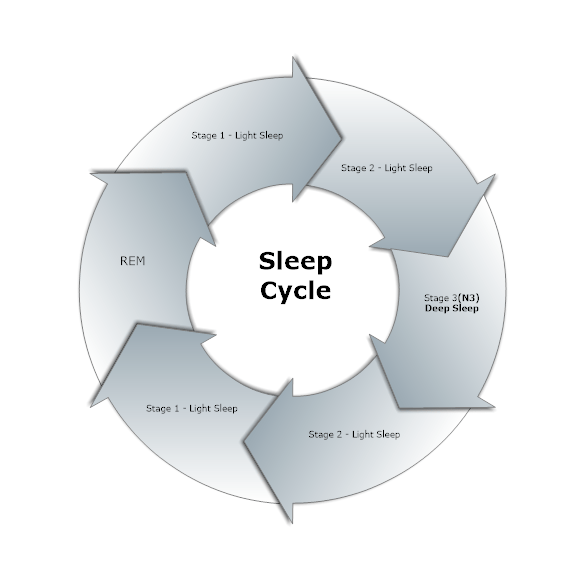 The importance of Sleep